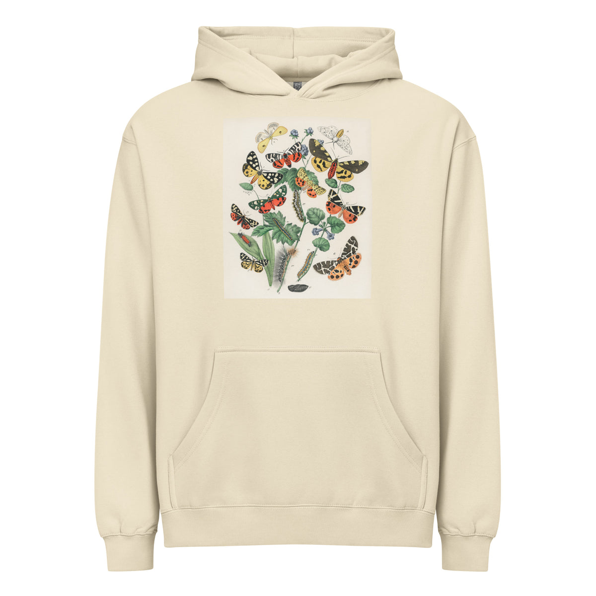 Hoodie Illustrations - William Forsell Kirby 1882 Signature