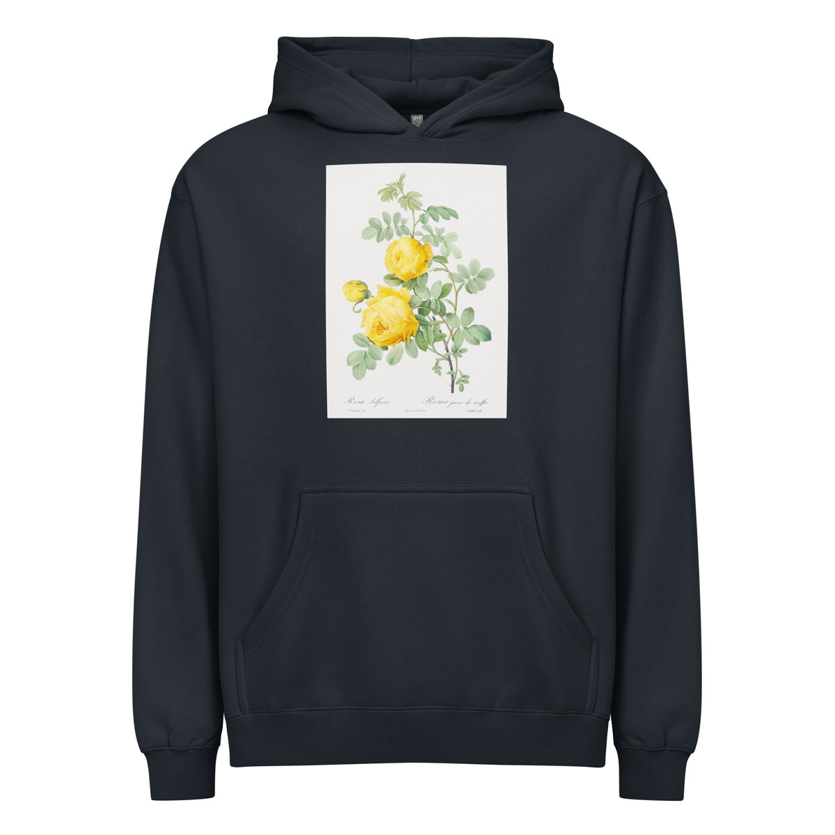 Navy Hoodie Rosa Hemisphaerica Also Known As Yellow Rose Of Sulfur Rosa Sulfurea Signature