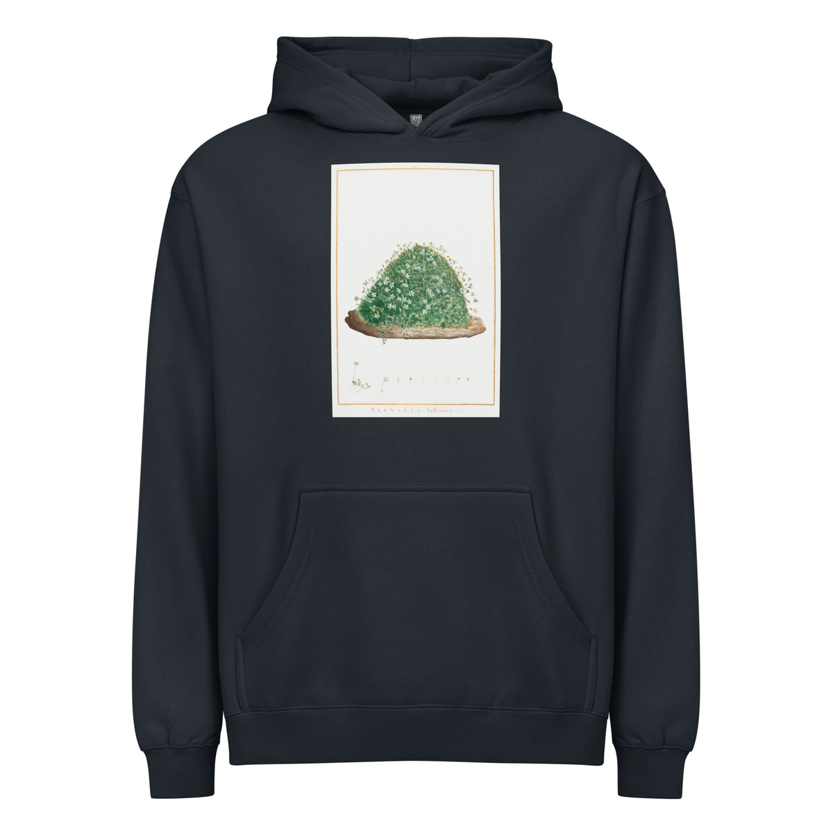 Navy Hoodie Arenaria Balearica Image - Pierre-Joseph Redoute And Charles Louis L Heritier 1784 Signature