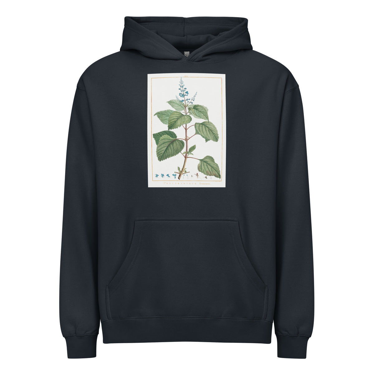 Navy Hoodie Plectranthus Fruticosus Image - Pierre-Joseph Redoute And Charles Louis 1784 Signature