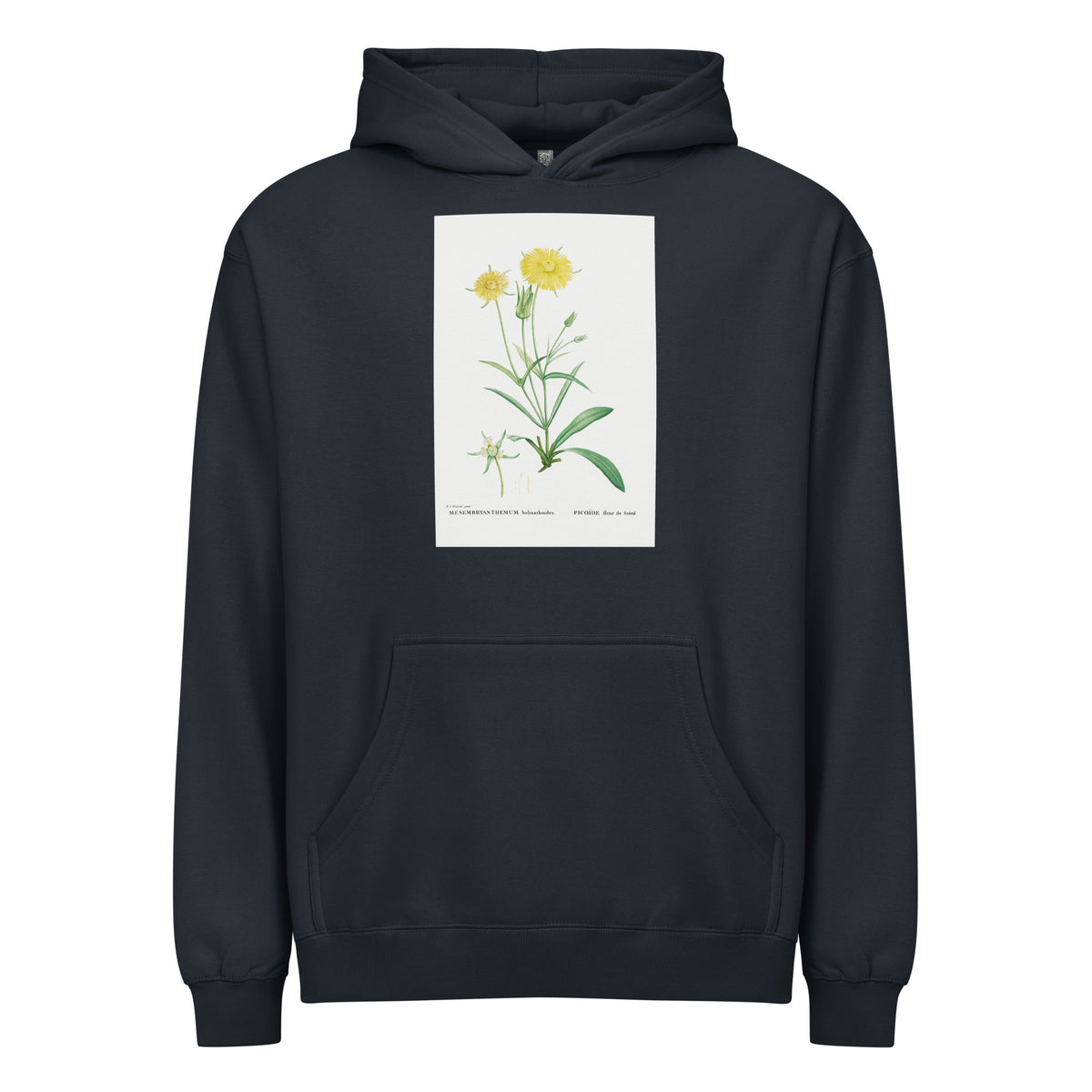 Navy Hoodie Mesembryanthemum Helianthoides Spatula Leaved Fig Marigold - Pierre-Joseph 1799 Signature