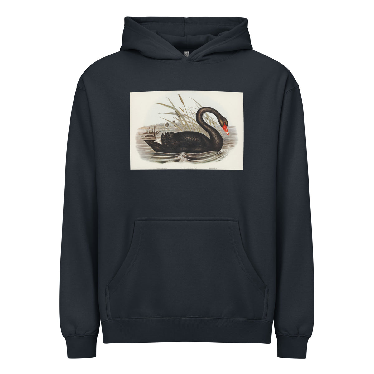 Navy Hoodie Black Swan Cygnus Atratus Illustrated - Elizabeth Gould 1804 Signature