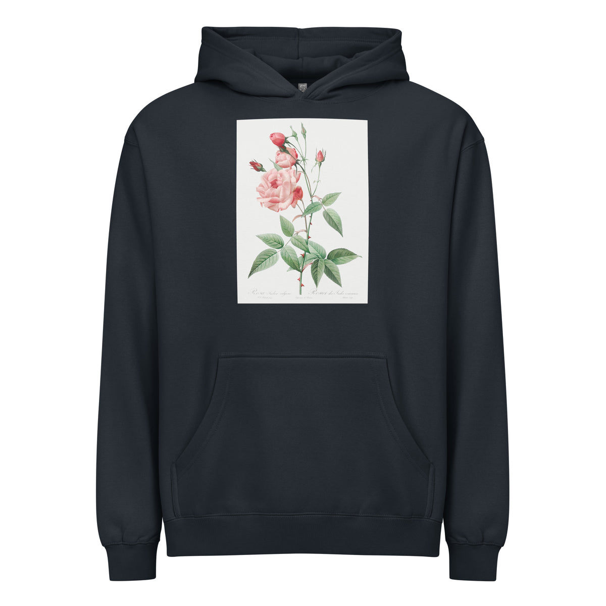 Navy Hoodie Old Blush China Also Known As Common Rose Of India Rosa Indica Vulgaris Signature