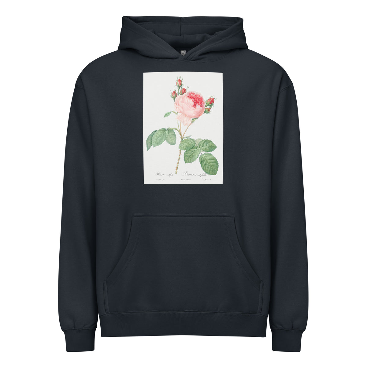 Navy Hoodie Cabbage Rose Also Known As One Hundred-Leaved Rose Rosa Centifolia Signature