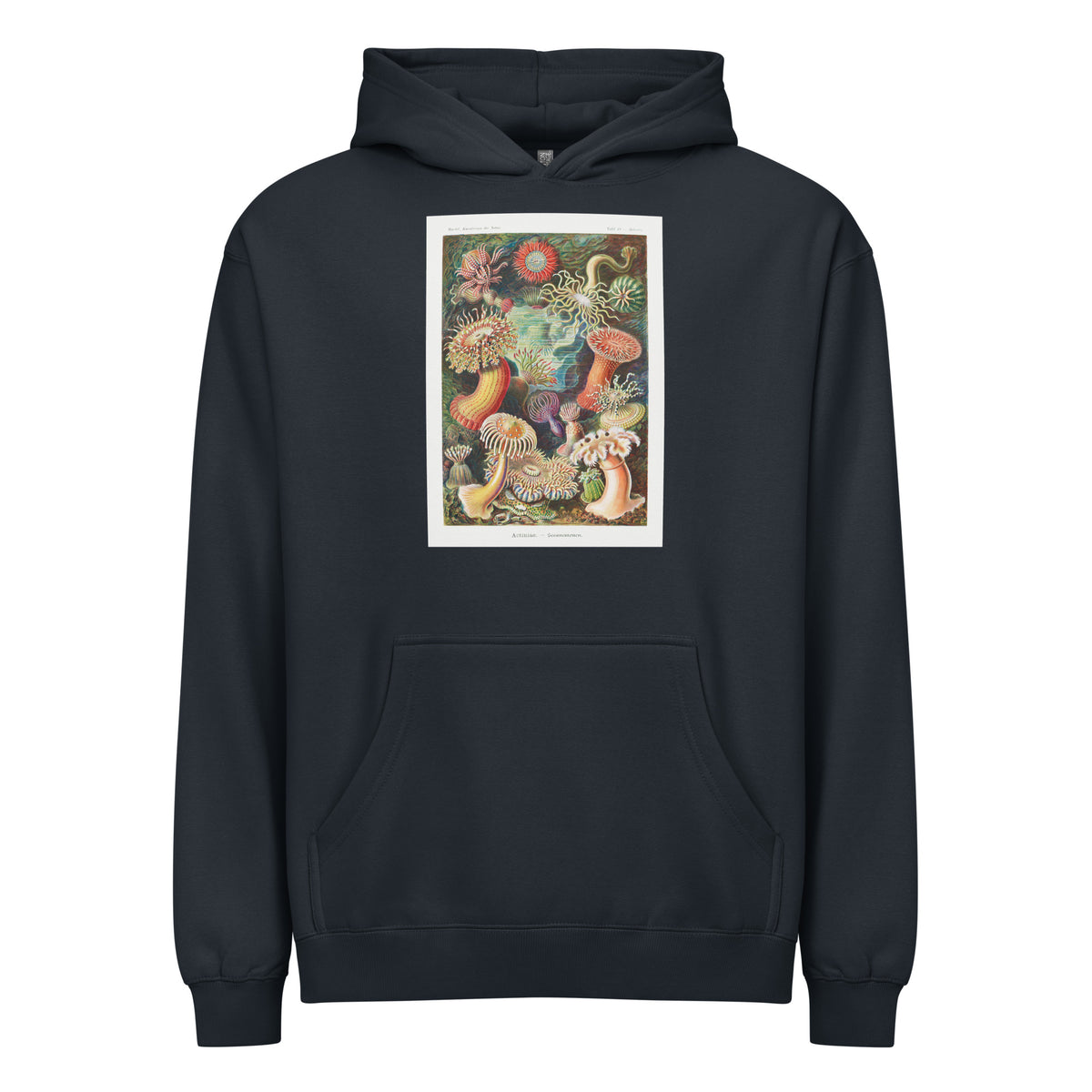 Navy Hoodie Actiniae Seeanemonen Signature