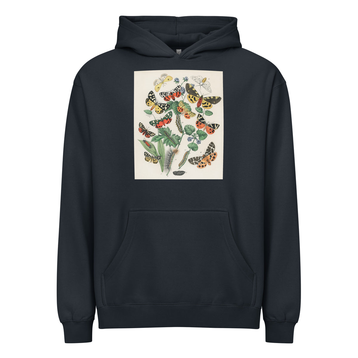 Navy Hoodie Illustrations - William Forsell Kirby 1882 Signature