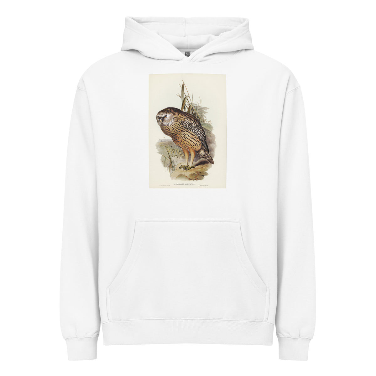 White Hoodie Wekau Sceloglaux Albifacies Illustrated - Elizabeth Gould 1804 Signature