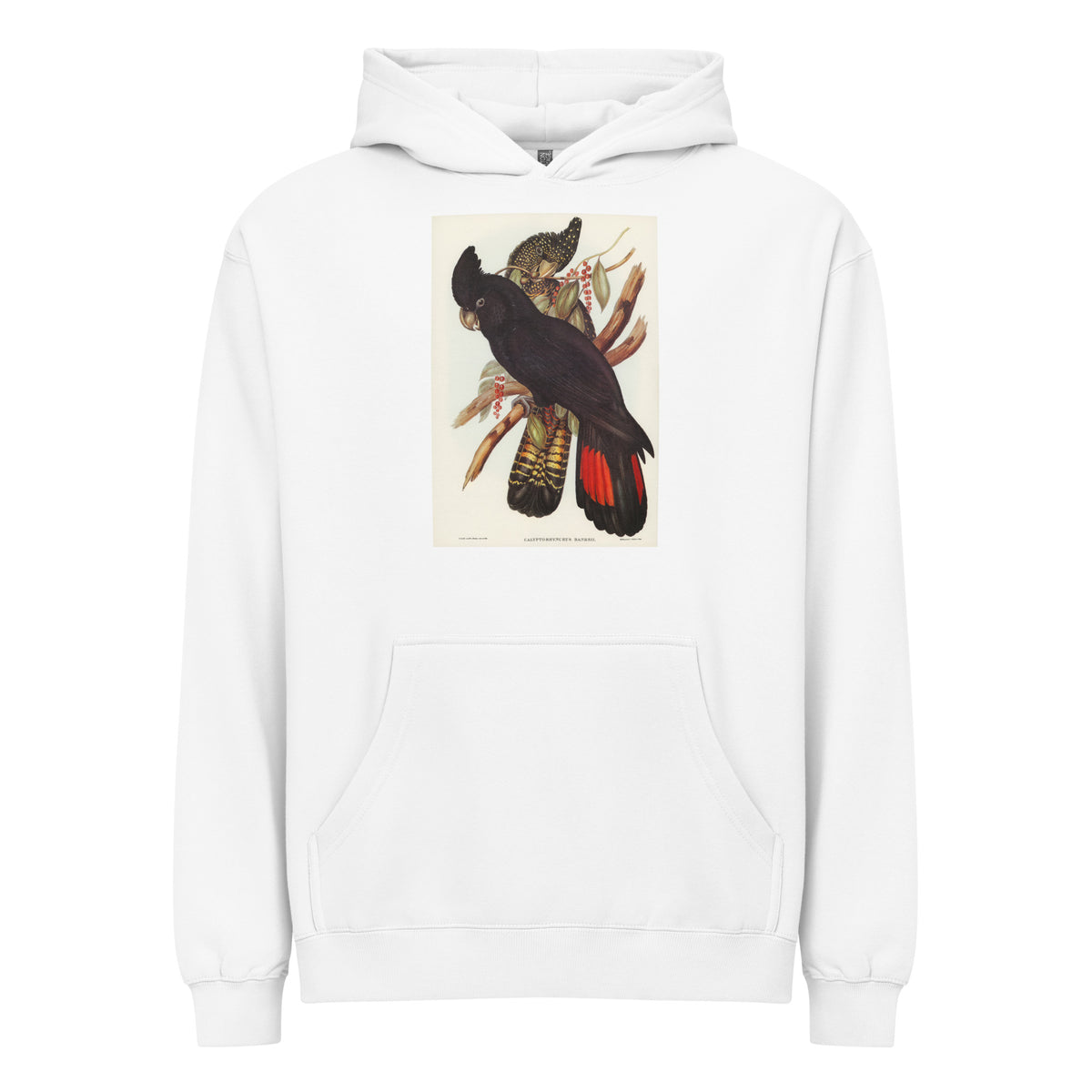 White Hoodie Banksian Cockatoo Calyptorhynchus Banksii Illustrated - Elizabeth Gould 1804 Signature