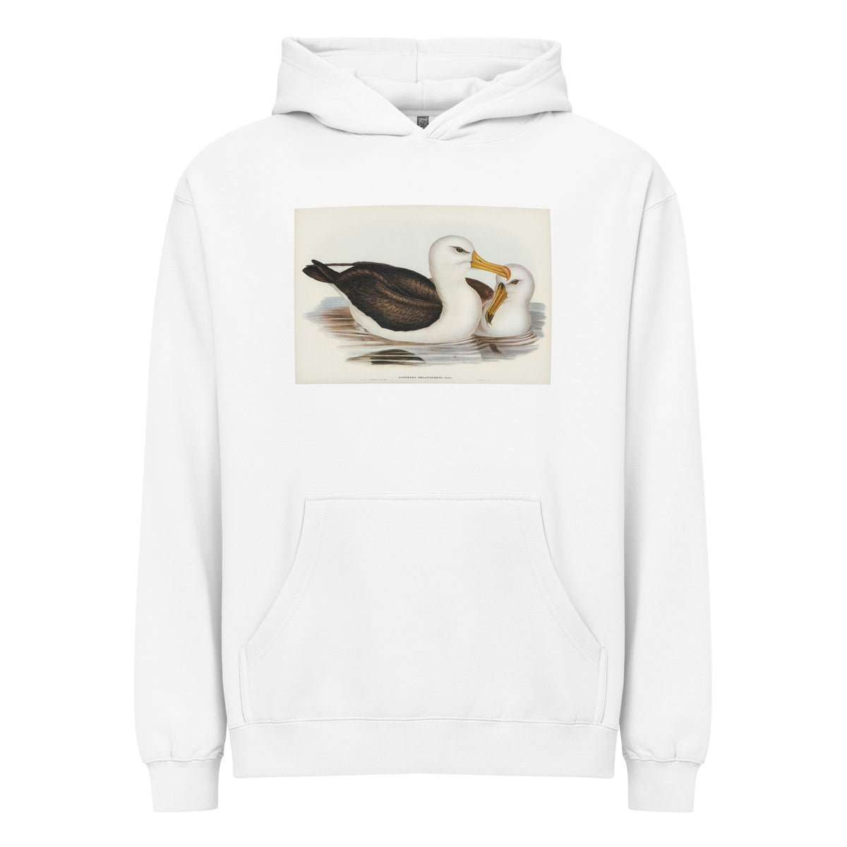White Hoodie Black-Eyebrowed Albatros Diomedea Melanophrys Illustrated - Elizabeth Gould 1804 Signature