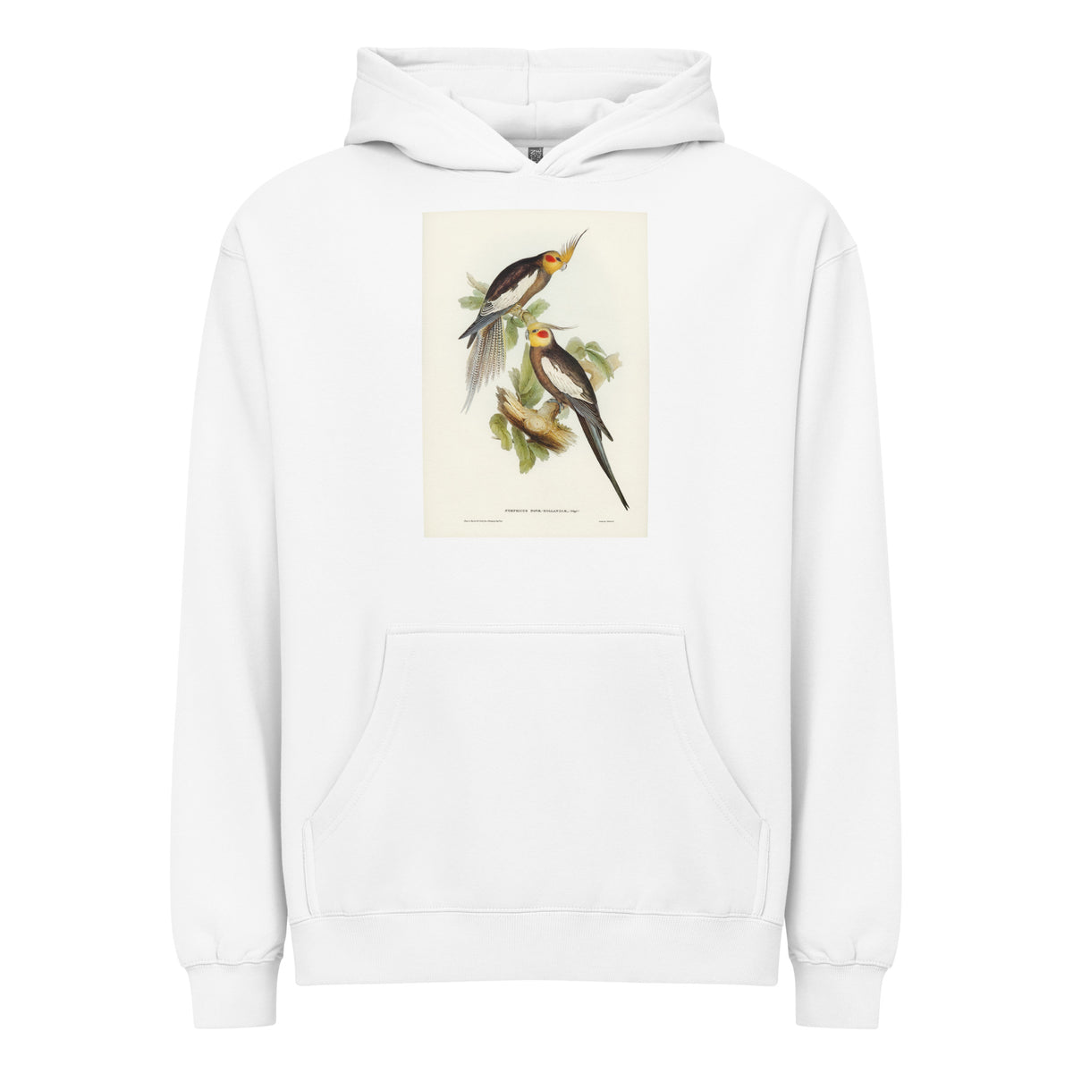 White Hoodie Cockatoo Parakeet Nymphicus Novae Hollandiae Illustrated - Elizabeth Gould 1804 Signature