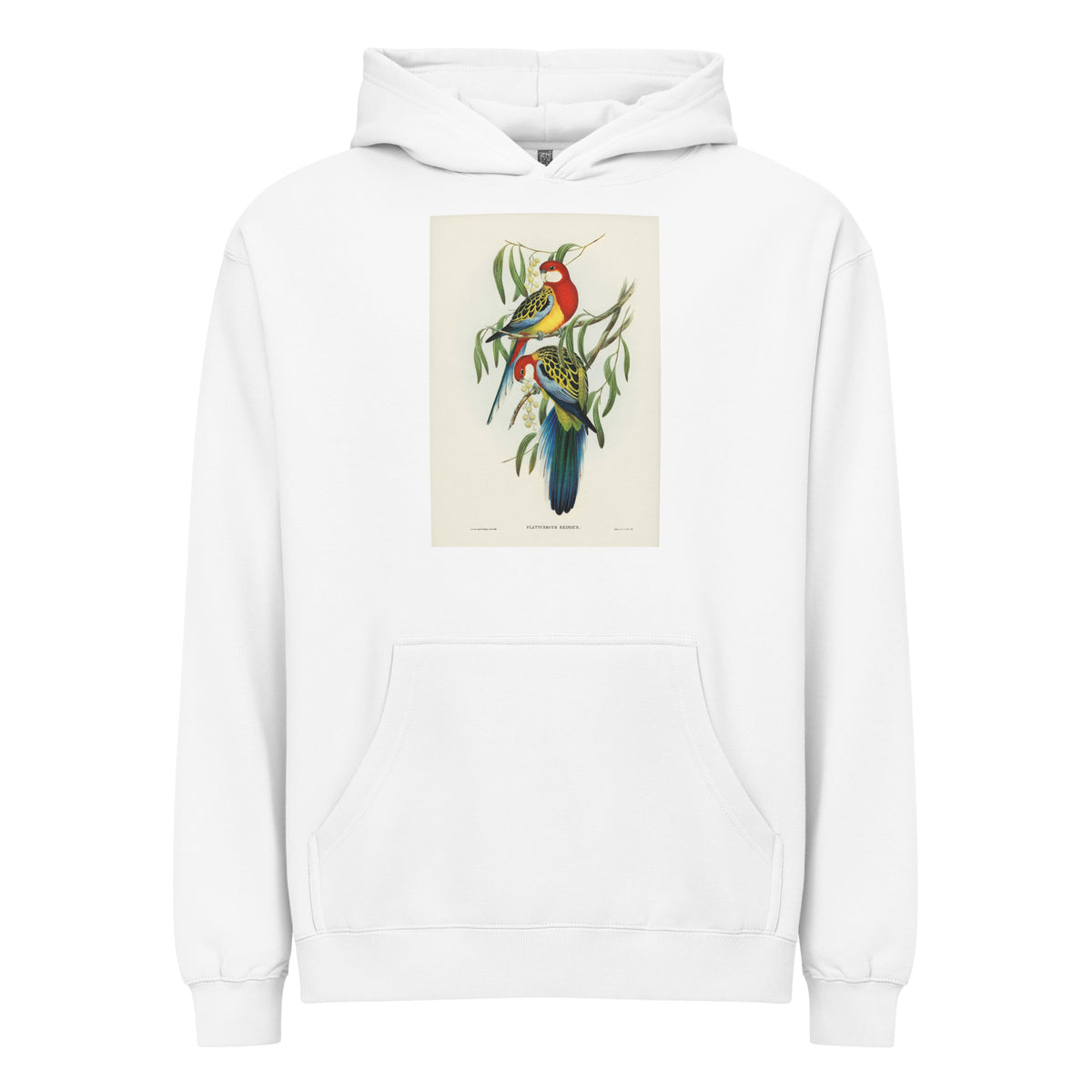 White Hoodie Rose-Hill Parakeet Platycercus Eximius Illustrated - Elizabeth Gould 1804 Signature