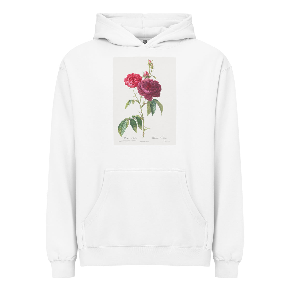 White Hoodie Purple French Rose Rosa Gallica Purpuro-Violacea Magna Signature