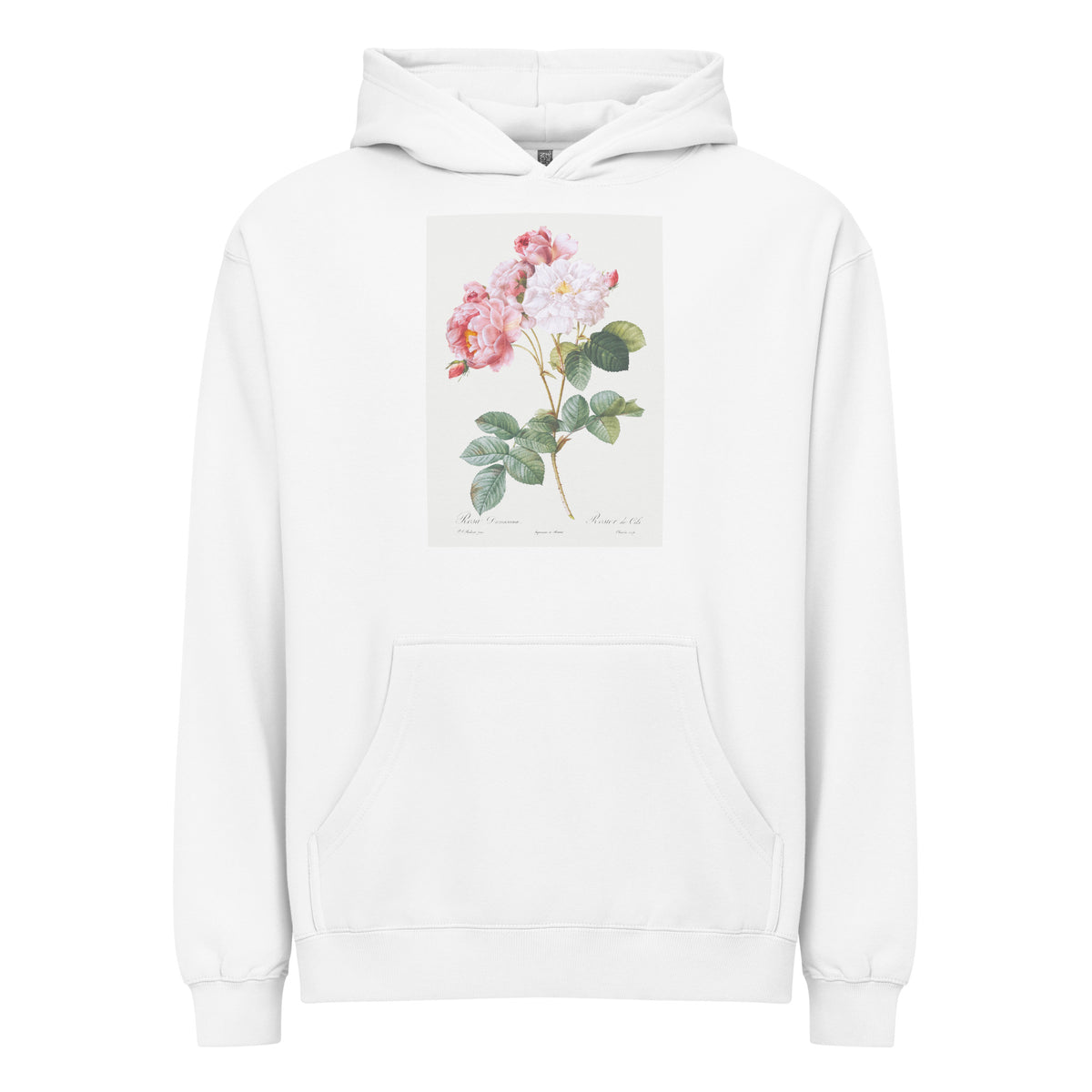 White Hoodie Rosa Damascena Rosebush Rosa Damascena Signature