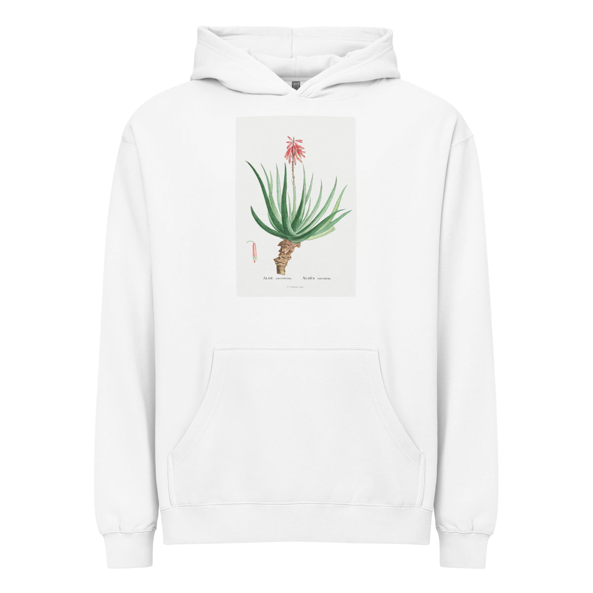 White Hoodie Aloe Socotrina Image Signature