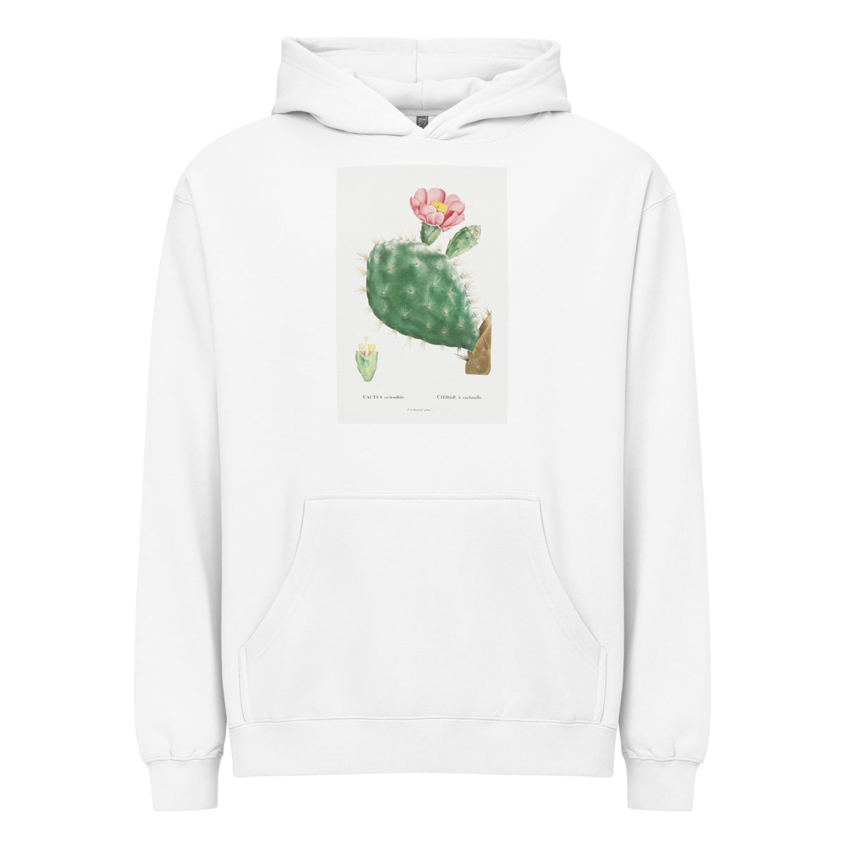 White Hoodie Cactus Cochenillifer Image Signature