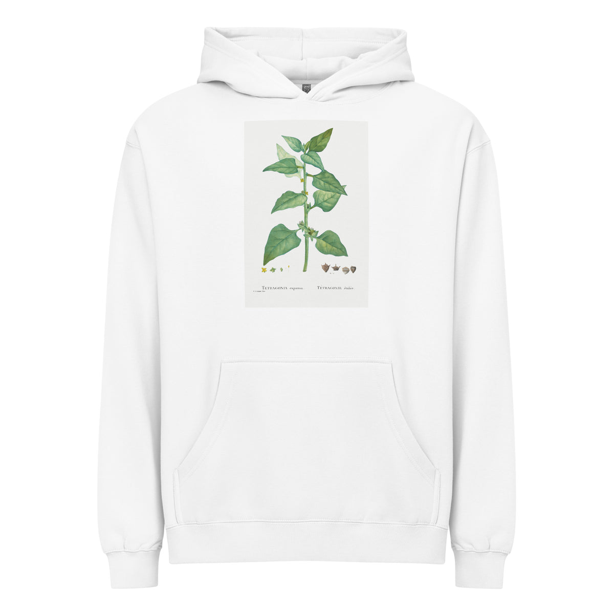 White Hoodie Tetragonia Expansa New Zealand Spinach Signature
