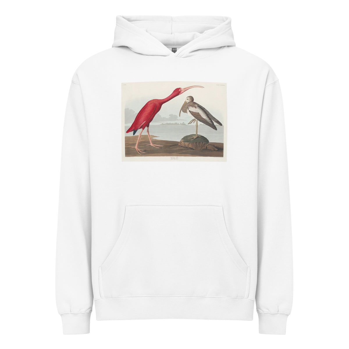 White Hoodie Scarlet Ibis - John James Audubon 1827 Signature