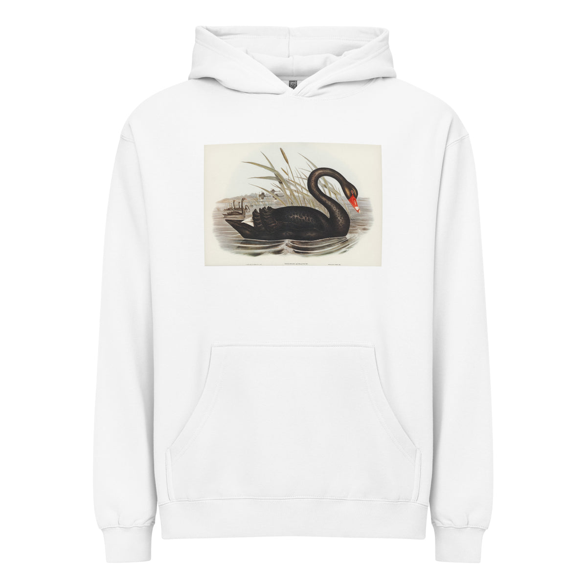 White Hoodie Black Swan Cygnus Atratus Illustrated - Elizabeth Gould 1804 Signature