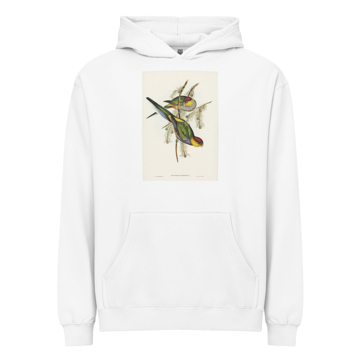 White Hoodie Red-Capped Parakeet Platycercus Pileatus Illustrated - Elizabeth Gould 1804 Signature