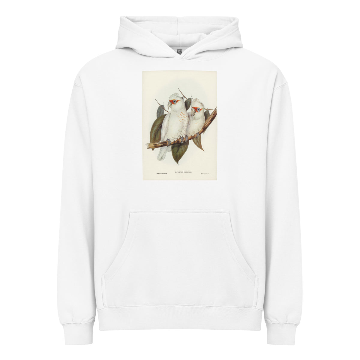 White Hoodie Long-Billed Cockatoo Licmetis Nasicus Illustrated - Elizabeth Gould 1804 Signature