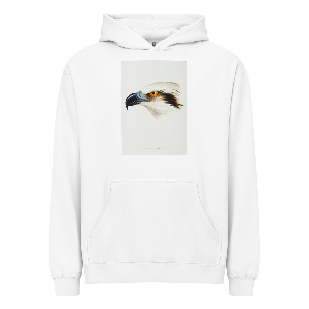 White Hoodie White-Headed Osprey Pandion Leucocephalus Illustrated Signature