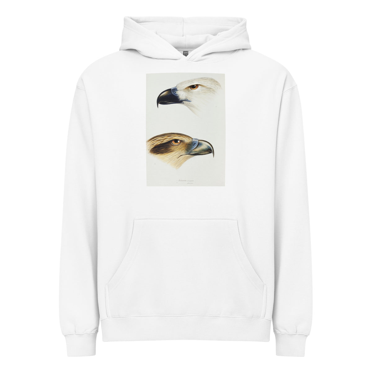 White Hoodie 1 White-Bellied Sea Eagle Haliaeetus Leucogaster 2 Whistling Kite Haliastur Sphenurus Illustrated Signature
