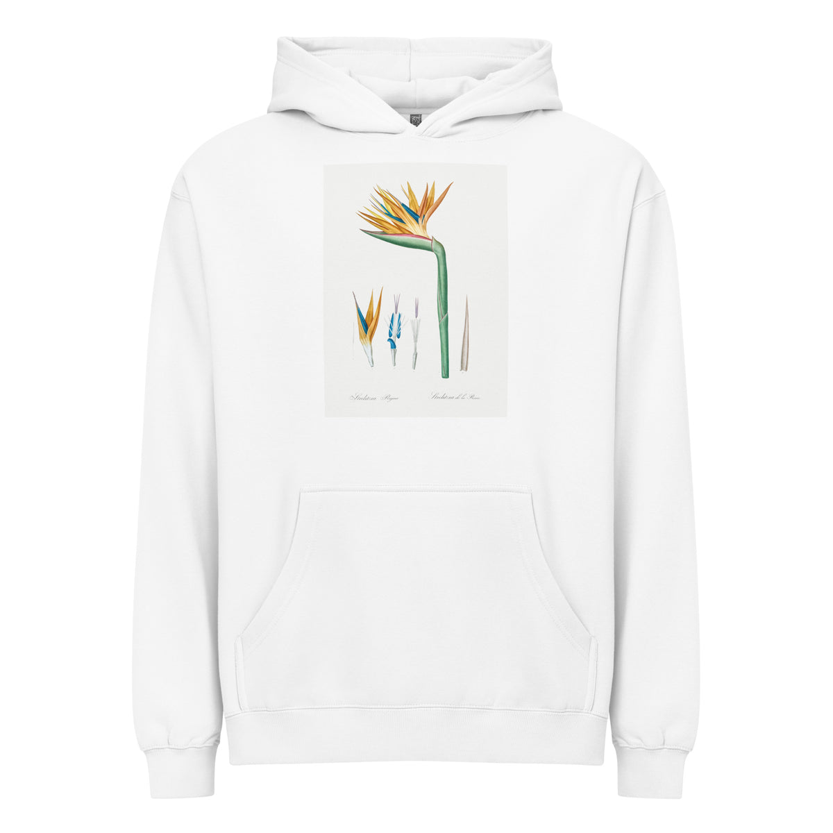 White Hoodie Bird Of Paradise Illustration Signature