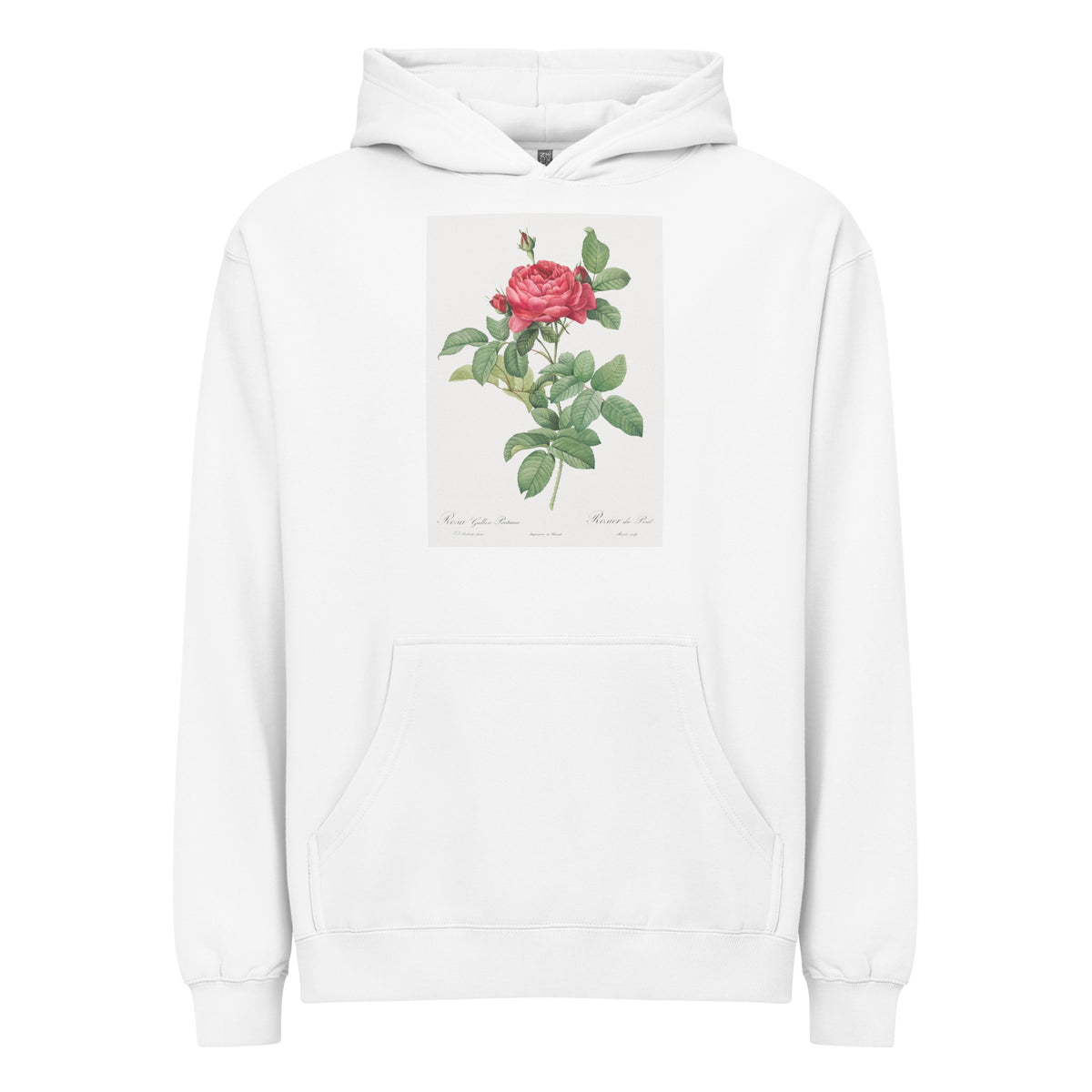White Hoodie Rosa Gallica Pontiana Also Known As Bridge Rose Signature