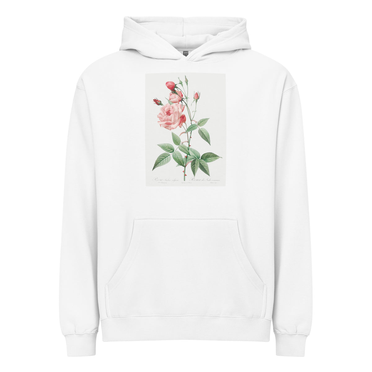 White Hoodie Old Blush China Also Known As Common Rose Of India Rosa Indica Vulgaris Signature