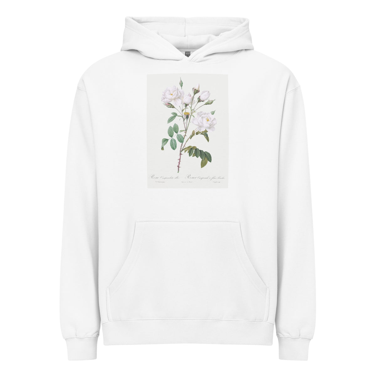 White Hoodie Rosa Campanulata Alba Also Known As Pink Bellflowers To White Flowers Signature