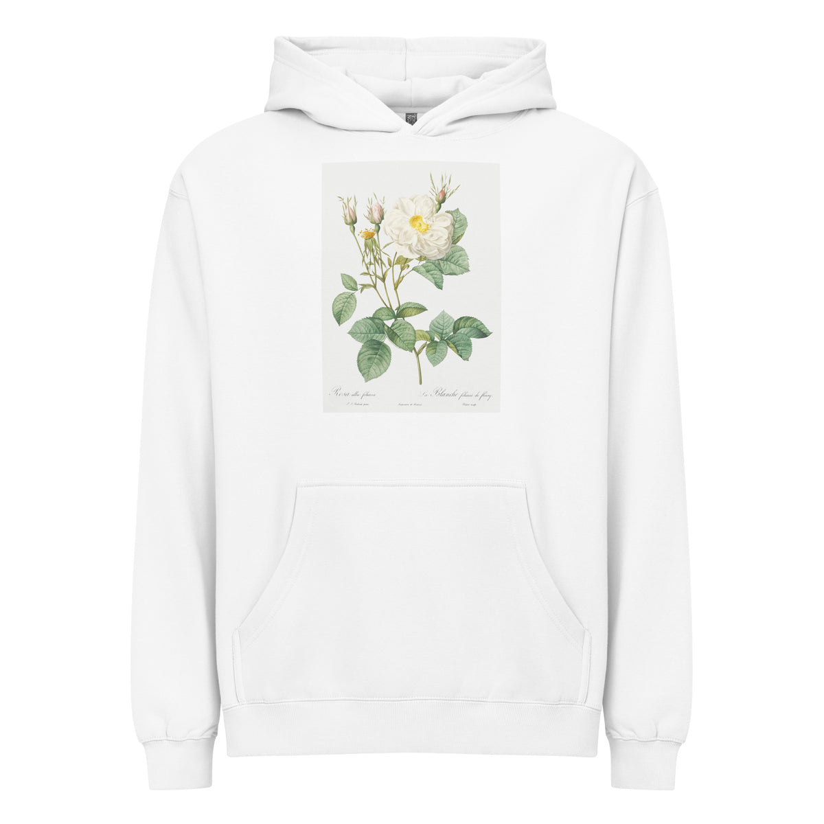 White Hoodie Rosa X Alba Also Known As The White Leaf Of Fleury Rosa Alba Foliacea Signature