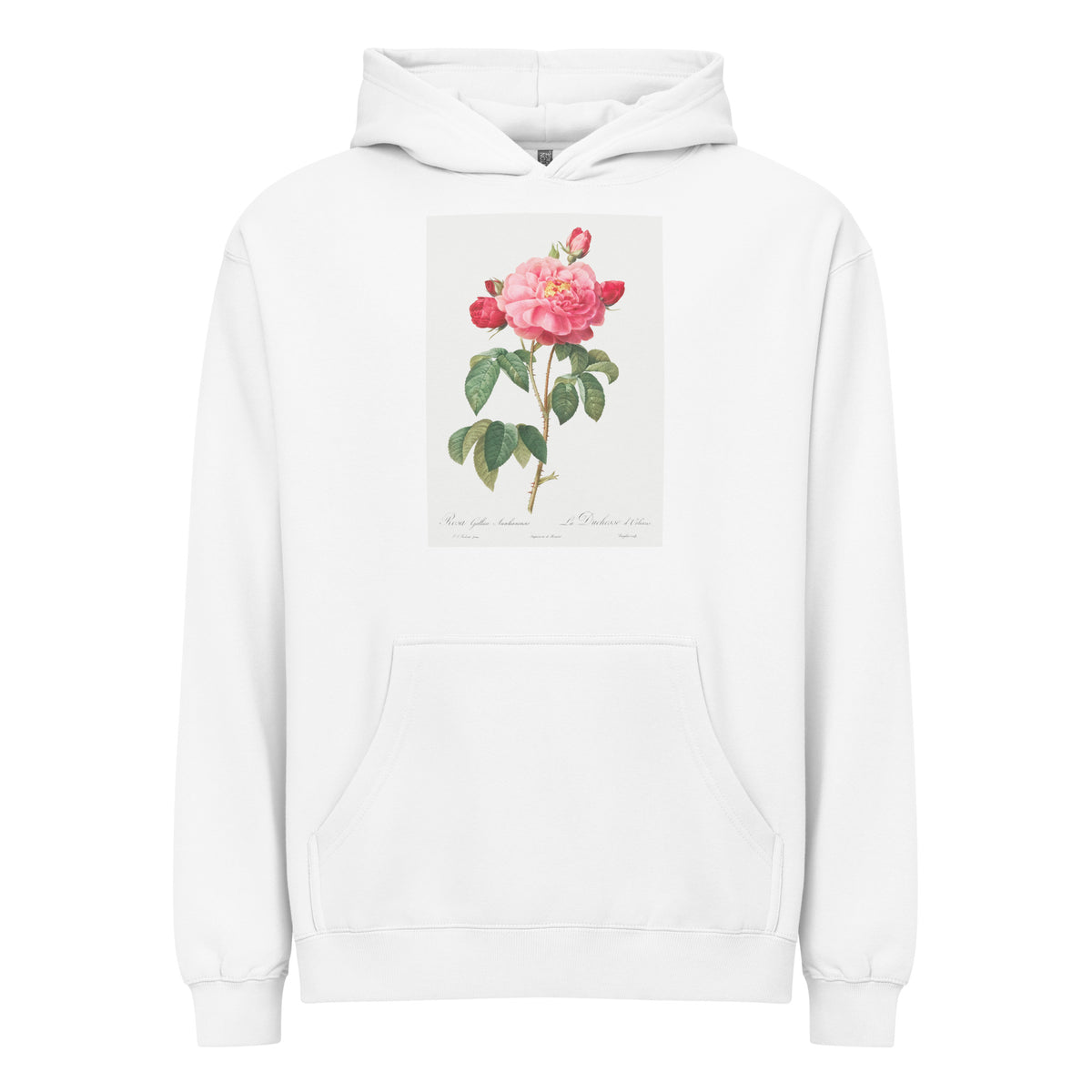 White Hoodie Gallic Rose Also Known As The Duchess Of Orleans Rosa Gallica Aurelianensis Signature
