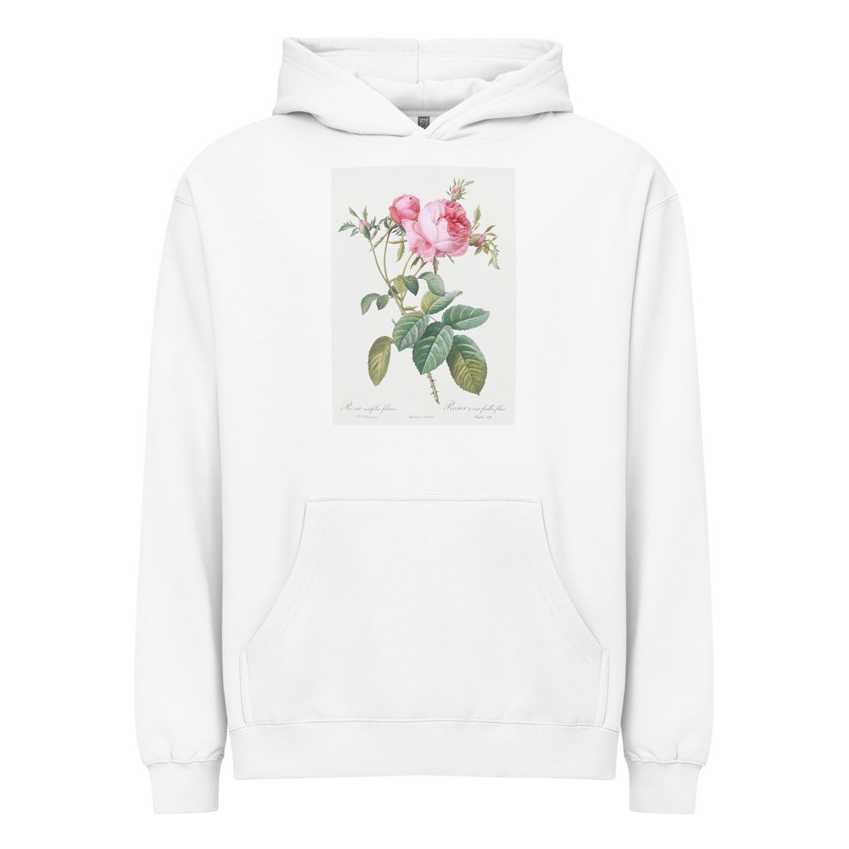 White Hoodie Rose De Mai Rosa Centifolia Foliacea Signature