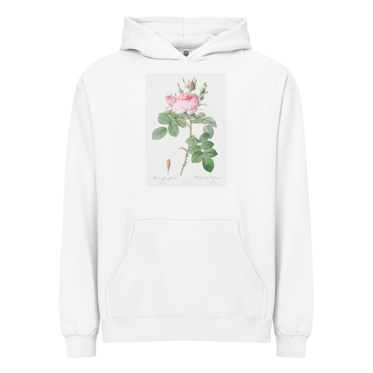 White Hoodie Rosa Bifera Officinalis Also Known As Rose Of Perfume Signature