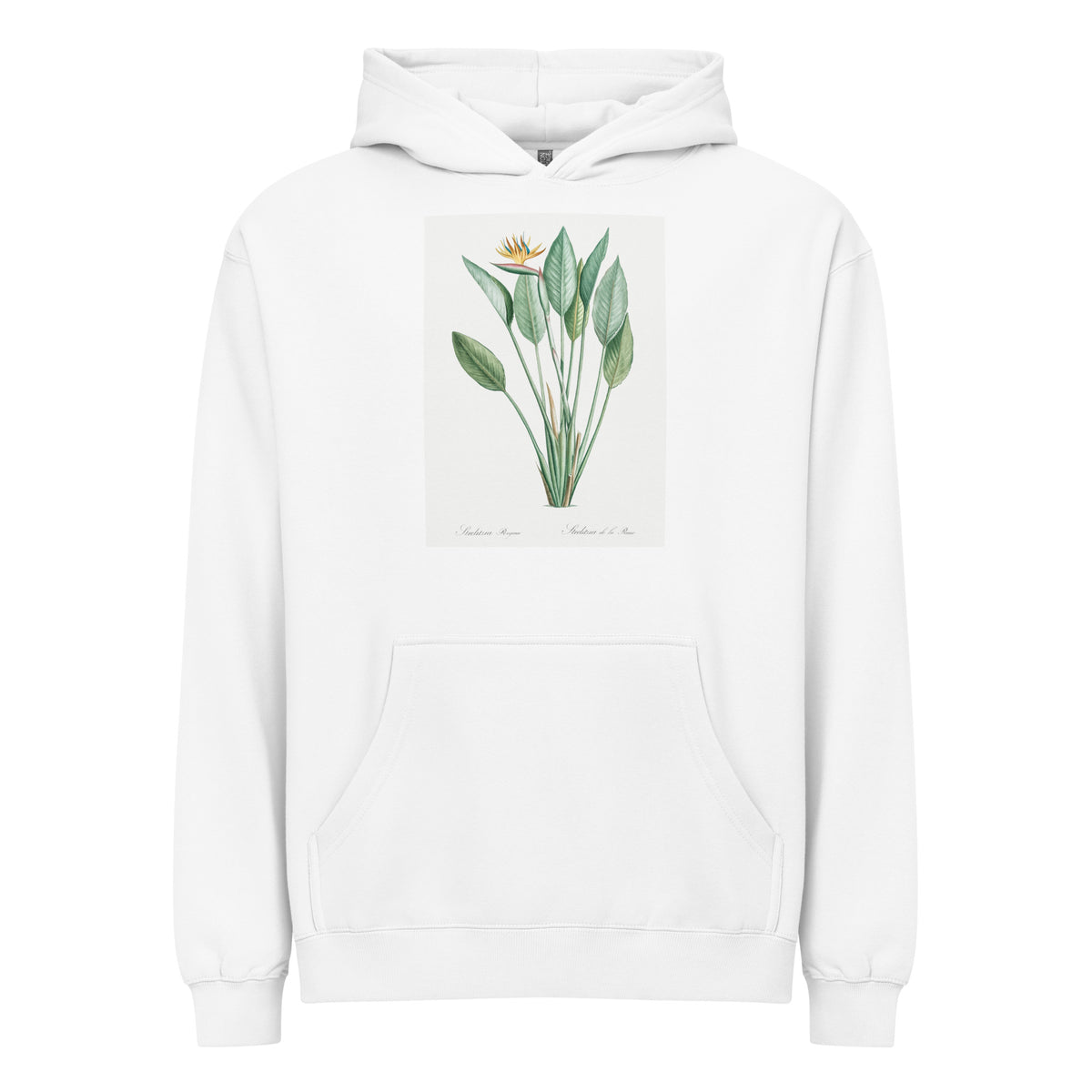 White Hoodie Bird Of Paradise Illustration II Signature