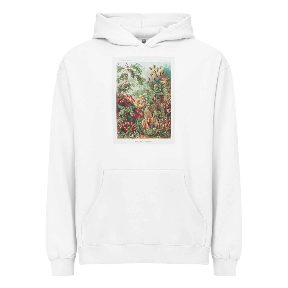 White Hoodie Muscinae Laubmoose A Giltsch Gem Signature