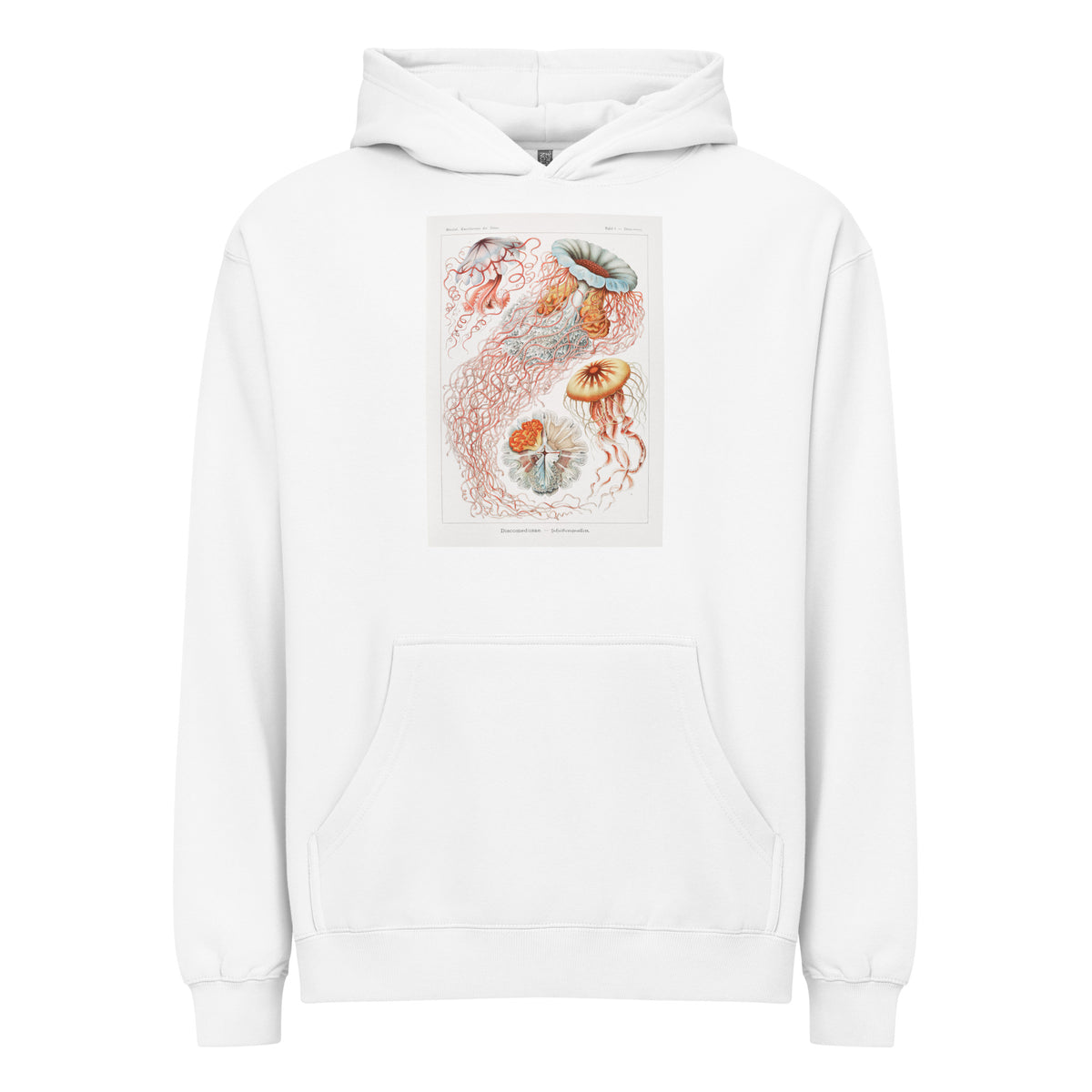 White Hoodie Discomedusae Scheibenquallen Signature