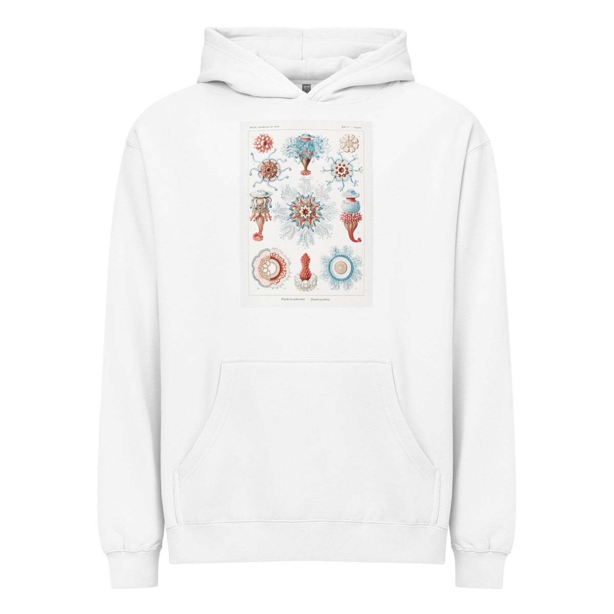 White Hoodie Siphonophorae Staatsquallen Signature