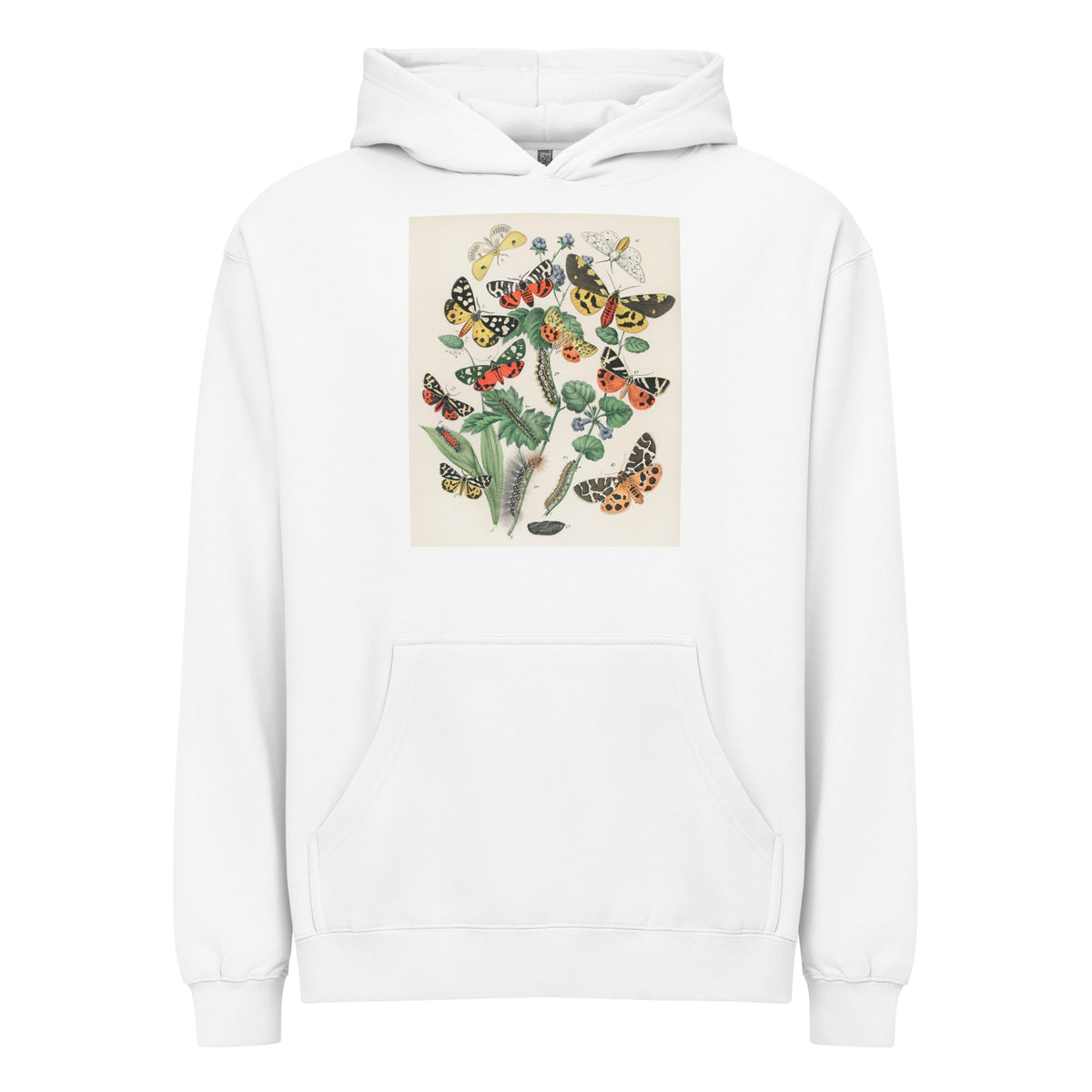 White Hoodie Illustrations - William Forsell Kirby 1882 Signature