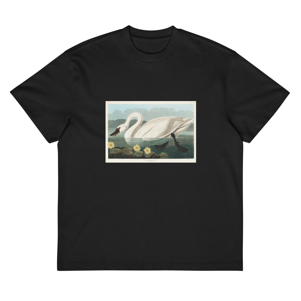 Black T-shirt Common American Swan - John James Audubon 1827 Signature