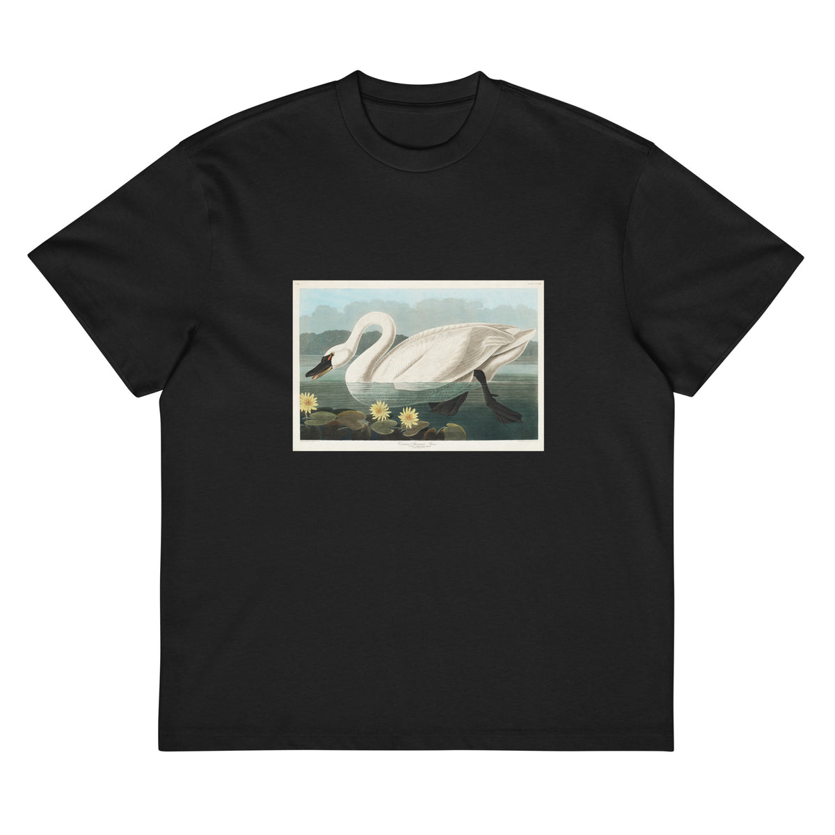 Black T-shirt Common American Swan - John James Audubon 1827 Signature