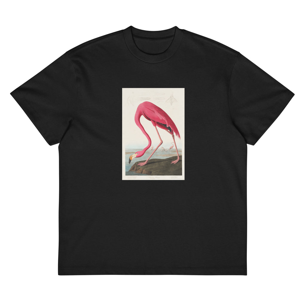 Black T-shirt Pink Flamingo - John James Audubon 1827 Signature