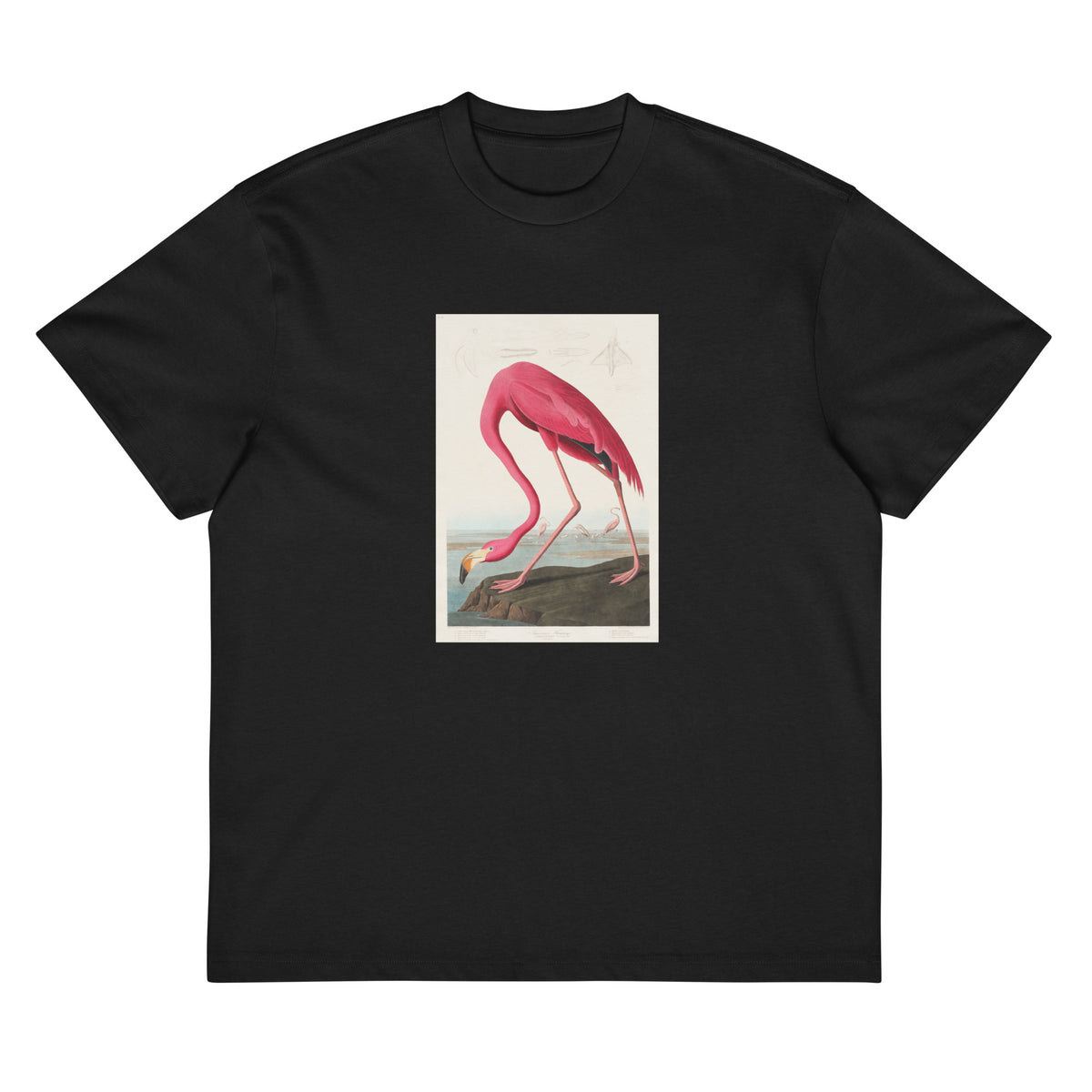 Black T-shirt Pink Flamingo - John James Audubon 1827 Signature