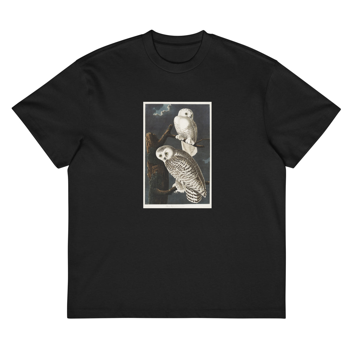 Black T-shirt Snowy Owl Signature