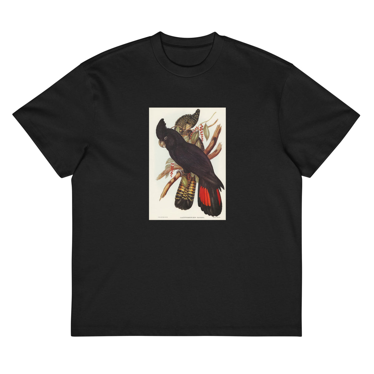 Black T-shirt Banksian Cockatoo Calyptorhynchus Banksii Illustrated - Elizabeth Gould 1804 Signature