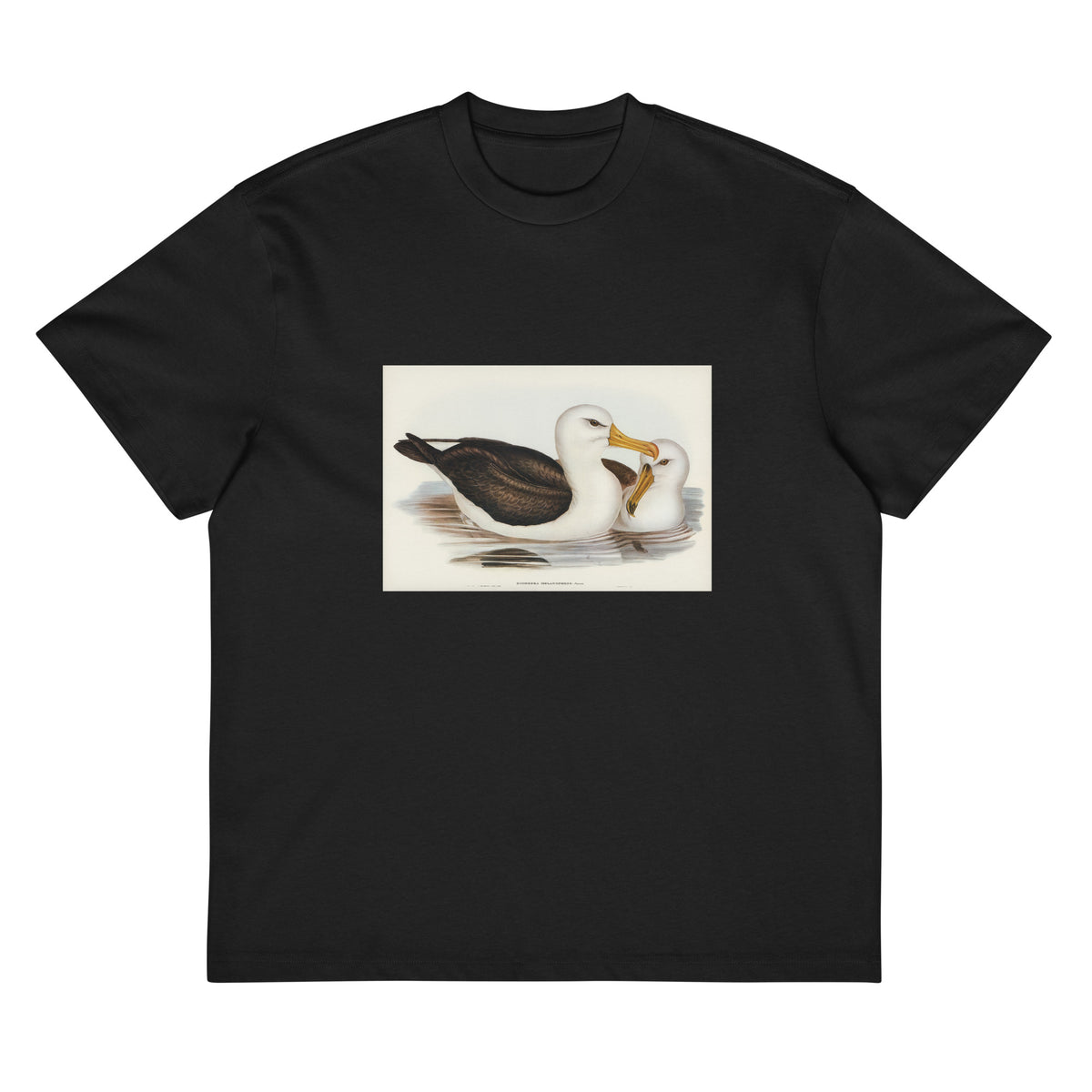 Black T-shirt Black-Eyebrowed Albatros Diomedea Melanophrys Illustrated - Elizabeth Gould 1804 Signature