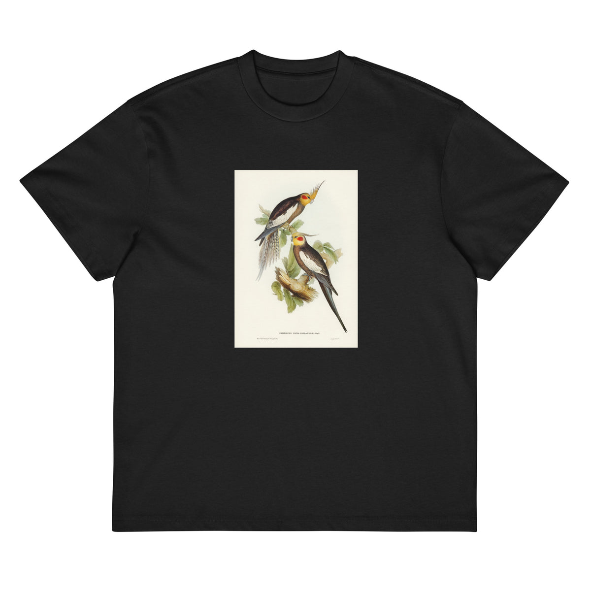 Black T-shirt Cockatoo Parakeet Nymphicus Novae Hollandiae Illustrated - Elizabeth Gould 1804 Signature