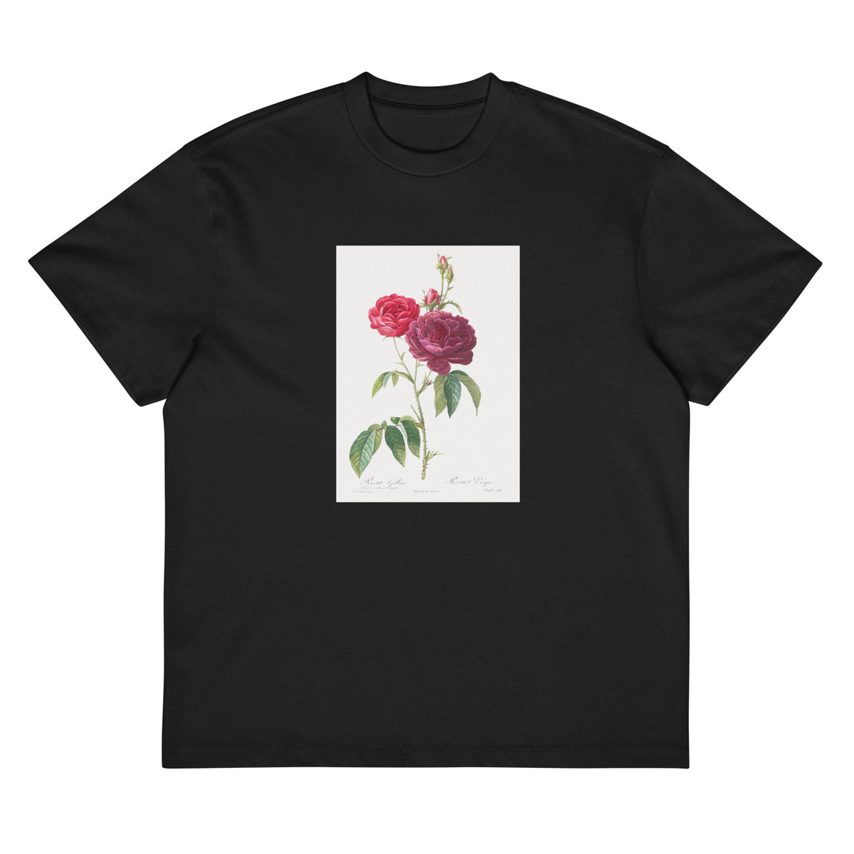 Black T-shirt Purple French Rose Rosa Gallica Purpuro-Violacea Magna Signature