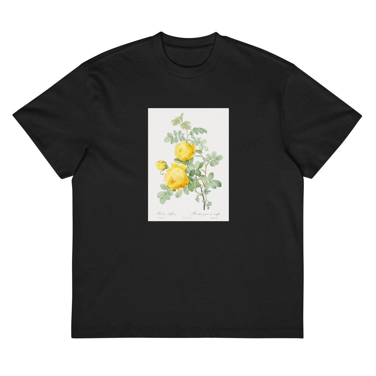 Black T-shirt Rosa Hemisphaerica Also Known As Yellow Rose Of Sulfur Rosa Sulfurea Signature