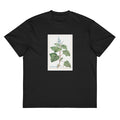 Black T-shirt Plectranthus Fruticosus Image - Pierre-Joseph Redoute And Charles Louis 1784 Signature